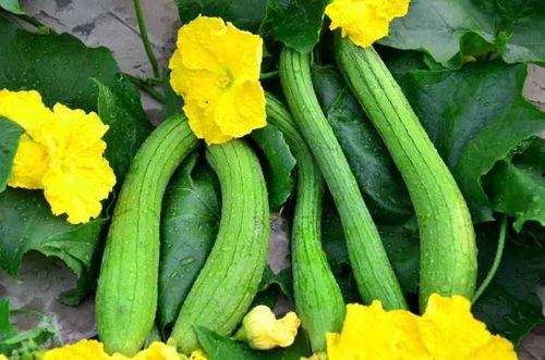 糖豆豆娱乐圈吃瓜合集,揭秘明星幕后故事与热点事件