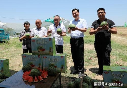 娱乐小八吃瓜视频下载安装,下载安装指南及热门平台推荐