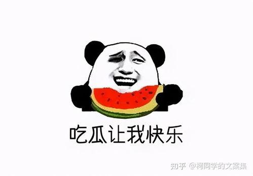 你妈不容易原版娱乐吃瓜,揭秘娱乐圈幕后辛酸与吃瓜乐趣
