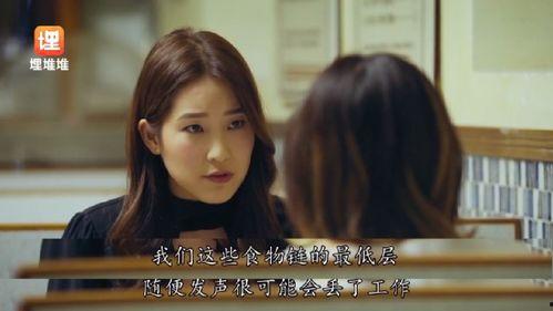 在娱乐圈在线吃瓜小说,揭秘幕后真相与明星秘闻