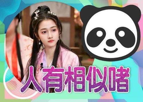 在娱乐圈在线吃瓜小说,揭秘幕后真相与明星秘闻