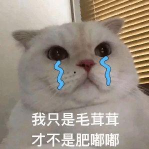 娱乐吃瓜扎心文案短句搞笑,扎心文案中的搞笑瞬间