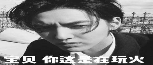 吃瓜娱乐圈的文案搞笑,吃瓜文案大集合