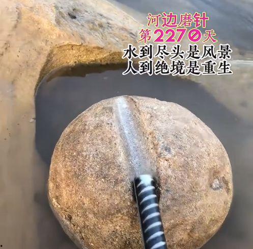 娱乐吃瓜酱铁杵磨成针,从娱乐吃瓜到人生哲理的蜕变