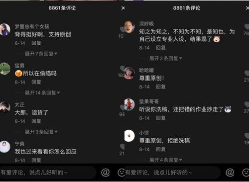 娱乐吃瓜酱的音频在哪找,探寻幕后故事