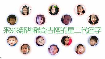 娱乐吃瓜名字叫什么好听,打造独特娱乐吃瓜名字的秘诀