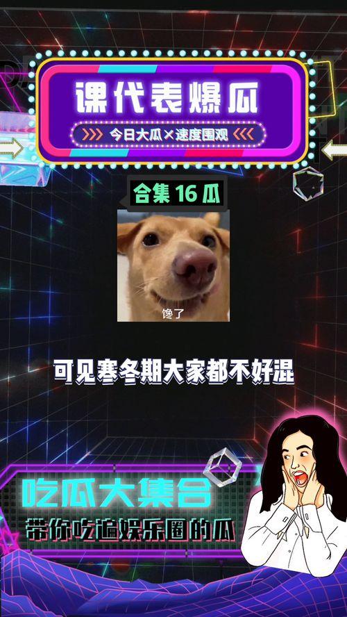 娱乐吃瓜八卦图片,吃瓜群众视角下的八卦风云录