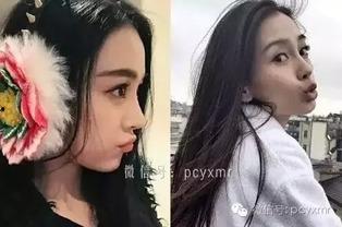 她在娱乐圈吃瓜全文阅读,她背后的故事与真相