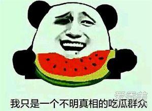 吃娱乐的瓜是什么意思,网络时代下的娱乐八卦文化现象