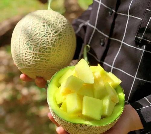 娱乐圈可以吃的大瓜