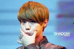 娱乐圈吃瓜鹅鹿晗