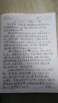 娱乐圈吃瓜作文800字,揭秘明星背后的故事