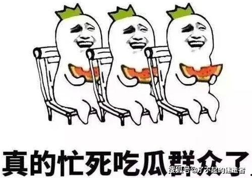 娱乐吃瓜酱防止智力退化