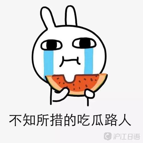 吃瓜娱乐号哪里去找素材