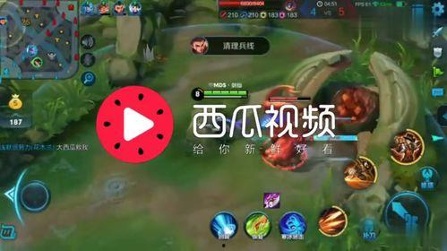 吃瓜娱乐背景音乐叫什么,揭秘“吃瓜娱乐”背景音乐背后的故事